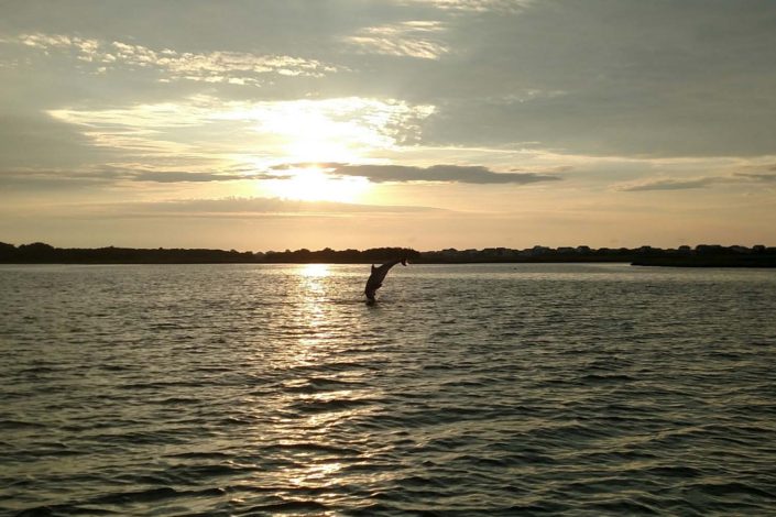 NX Fishing Charters &bull; Topsail - Wrightsville - Carolina Beaches