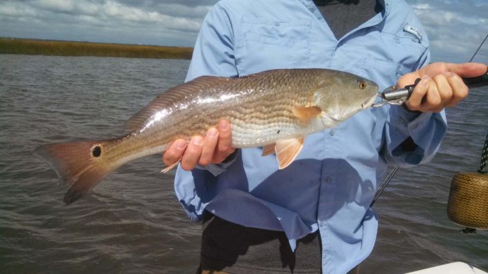 NX Fishing Charters &bull; Topsail - Wrightsville - Carolina Beaches
