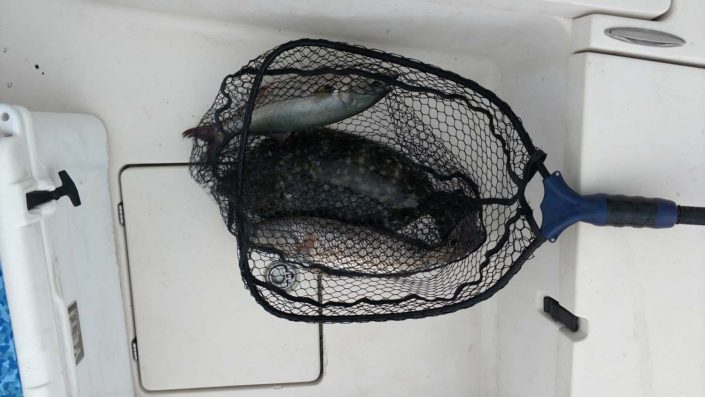 NX Fishing Charters &bull; Topsail - Wrightsville - Carolina Beaches