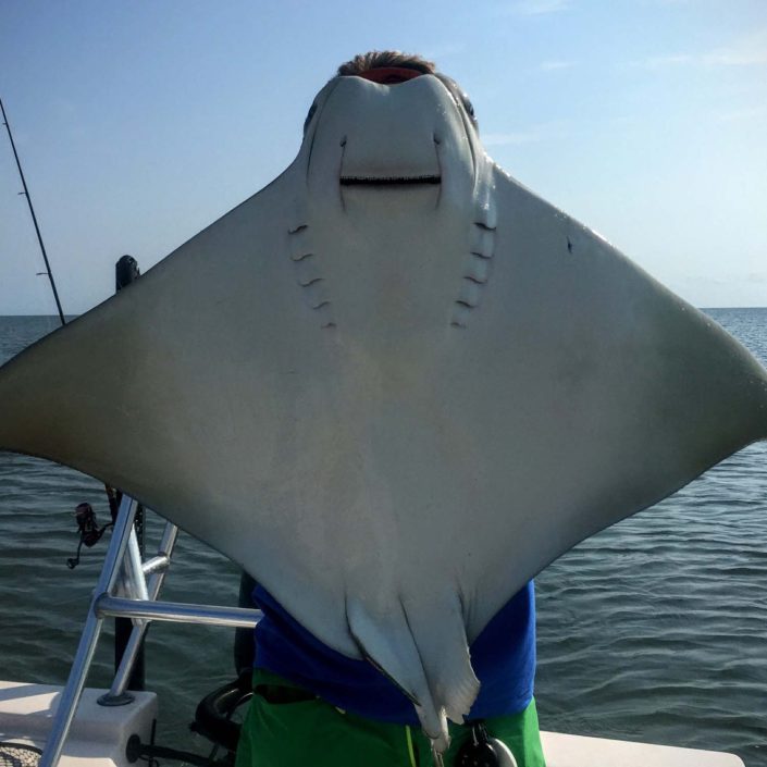NX Fishing Charters &bull; Topsail - Wrightsville - Carolina Beaches