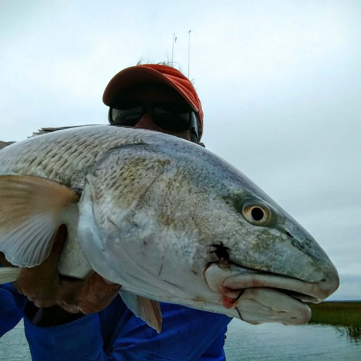 NX Fishing Charters &bull; Topsail - Wrightsville - Carolina Beaches
