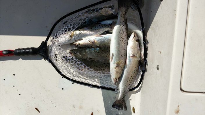 NX Fishing Charters &bull; Topsail - Wrightsville - Carolina Beaches