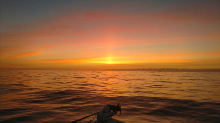 NX Fishing Charters &bull; Topsail - Wrightsville - Carolina Beaches