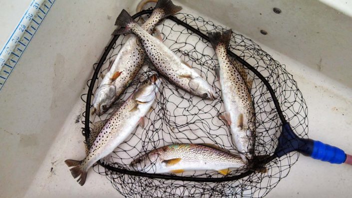 NX Fishing Charters &bull; Topsail - Wrightsville - Carolina Beaches