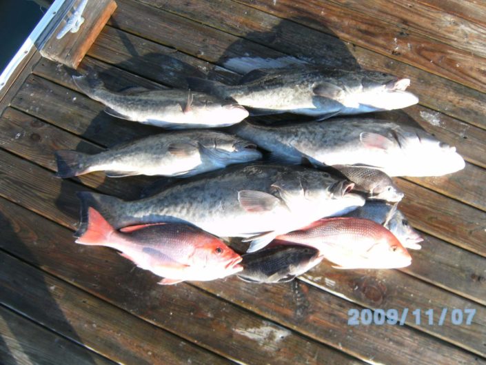 NX Fishing Charters &bull; Topsail - Wrightsville - Carolina Beaches