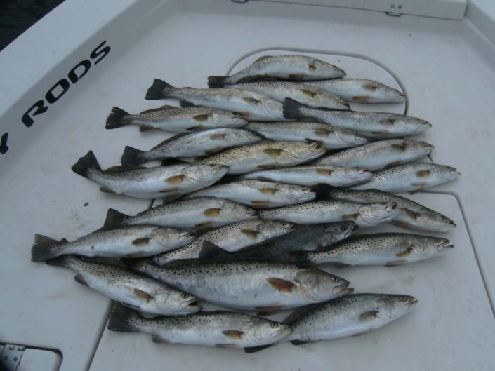 NX Fishing Charters &bull; Topsail - Wrightsville - Carolina Beaches