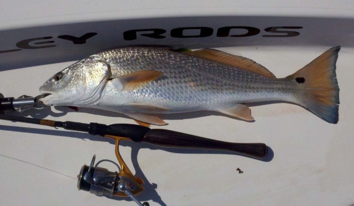 NX Fishing Charters &bull; Topsail - Wrightsville - Carolina Beaches
