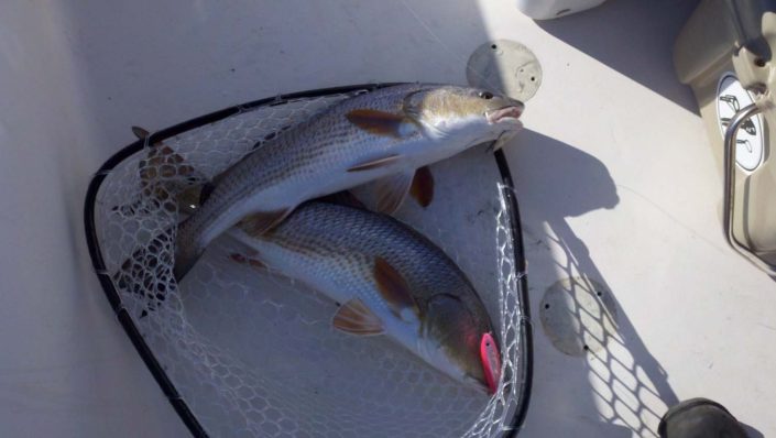 NX Fishing Charters &bull; Topsail - Wrightsville - Carolina Beaches