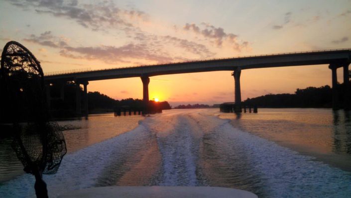 NX Fishing Charters &bull; Topsail - Wrightsville - Carolina Beaches