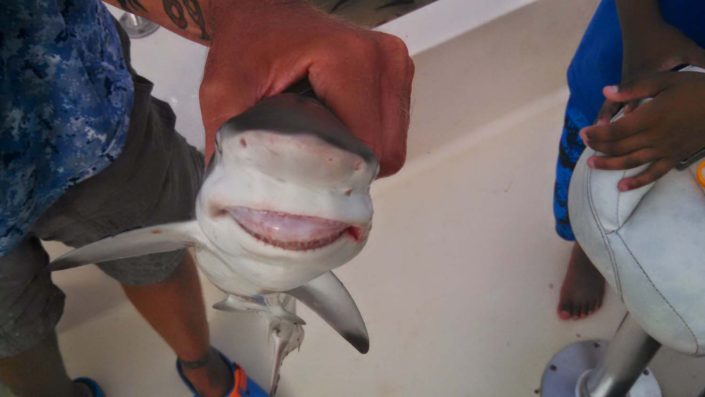 NX Fishing Charters &bull; Topsail - Wrightsville - Carolina Beaches