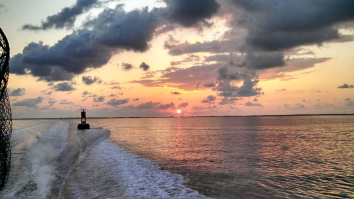 NX Fishing Charters &bull; Topsail - Wrightsville - Carolina Beaches