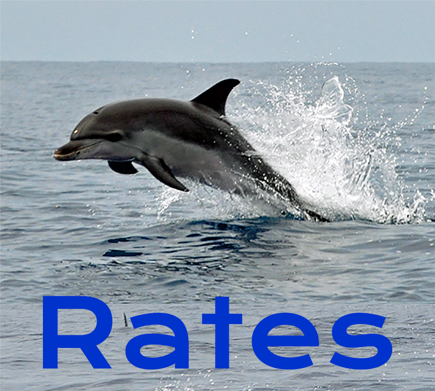 NX Fishing Charters NX - surf City Topsail's Top Fishing Charters - #1 All-Inclusive
NX - Wrightsville Beach Top Fishing Charters - #1 All-Inclusive
NX - Carolina Beach Top Fishing Charters - #1 All-Inclusive