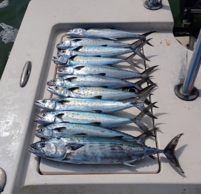 NX Fishing Charters &bull; Topsail - Wrightsville - Carolina Beaches